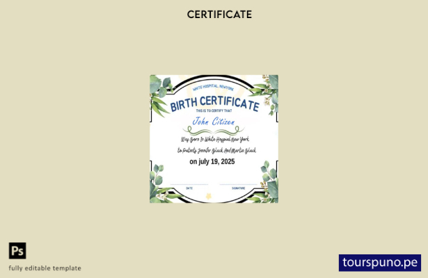Plantilla de certificado de nacimiento del hospital New York White lista para im